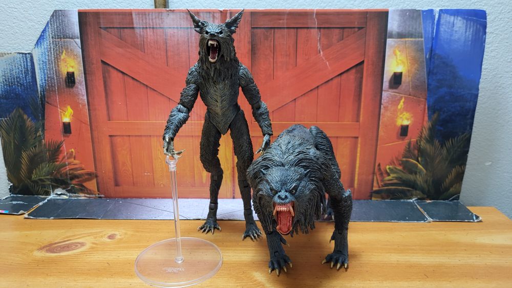 A comparison between NECA's The Howling Ultimate Werewolf, and the Ultimate Kessler Wolf. Both facing the camera in a neutral standing pose, and both have the open mouth heads on.